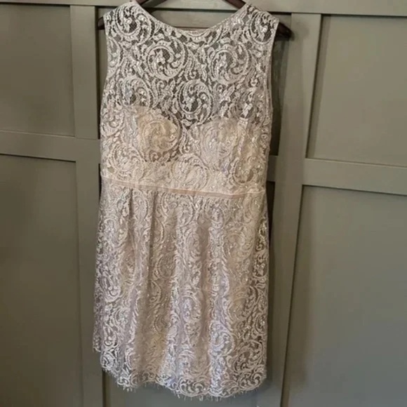 Jenny Yoo Collection Harlow Dress Champagne Metallic Lace Cocktail Bridesmaid - Picture 5 of 12